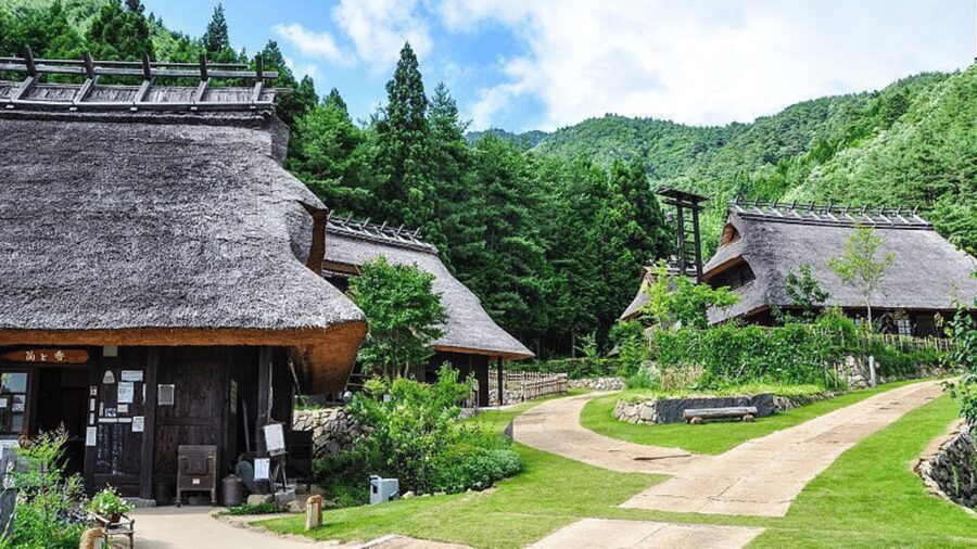 Mt Fuji Sightseeing Private tour with English Speaking Guide - The guide can make or break the experience