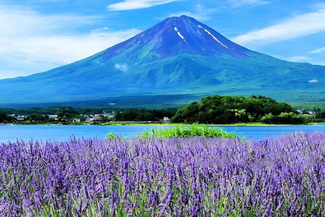 Mt Fuji Small Group 1 Day Tour Kawaguchi and Yamanaka with Pickup - Key points at a glance