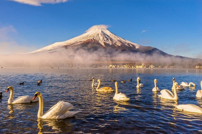 Mt Fuji Small Group 1 Day Tour Kawaguchi and Yamanaka with Pickup - Why this Mount Fuji day trip works from Tokyo