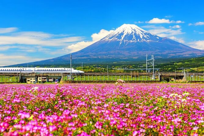 Mt. Fuji to Lake Kawaguchi, Lake Yamanaka and Onsen Day Tour - Key things to know before you book