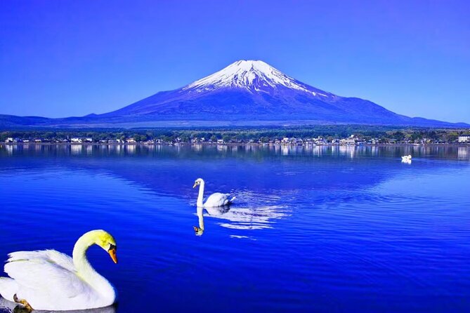 Mt. Fuji to Lake Kawaguchi, Lake Yamanaka and Onsen Day Tour - The short hot spring visit