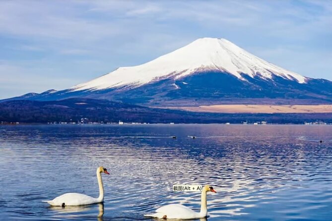 Mt. Fuji to Lake Kawaguchi, Lake Yamanaka and Onsen Day Tour - Guides, transport, and the pace of the day