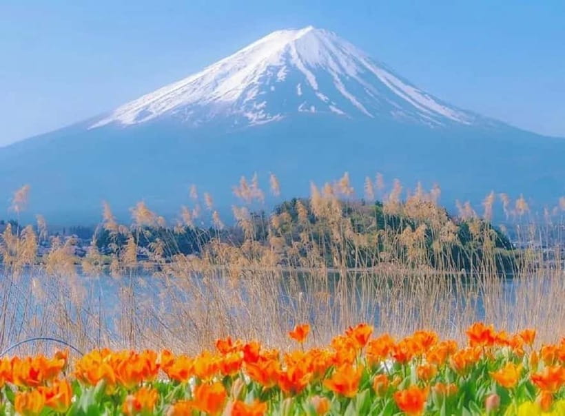 Mt Fuji Top 5 Spots Day Tour: Arakurayama Park,Oshino Hakkai - Why this Tokyo to Fuji day trip works