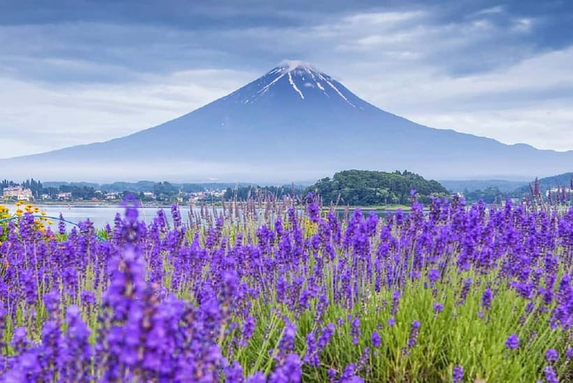 Mt Fuji Top 5 Spots Day Tour: Arakurayama Park,Oshino Hakkai - Arakurayama Sengen Park and the famous 397 steps