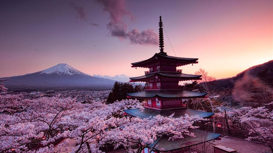Mt Fuji Tour With Experienced English Driver - Why a private Fuji tour makes sense from Tokyo