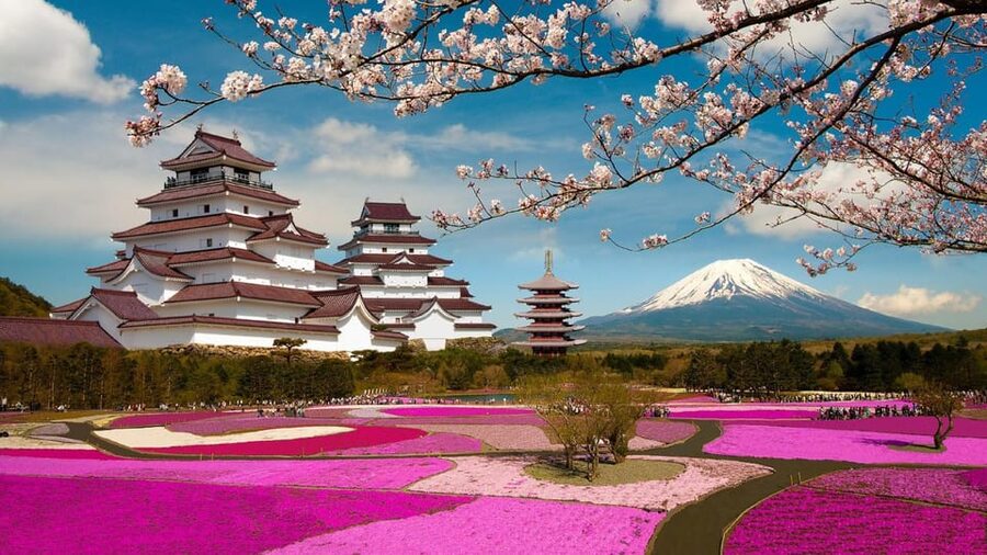Mt Fuji Tour With Experienced English Driver - Arakura Shrine and the Chureito Pagoda climb