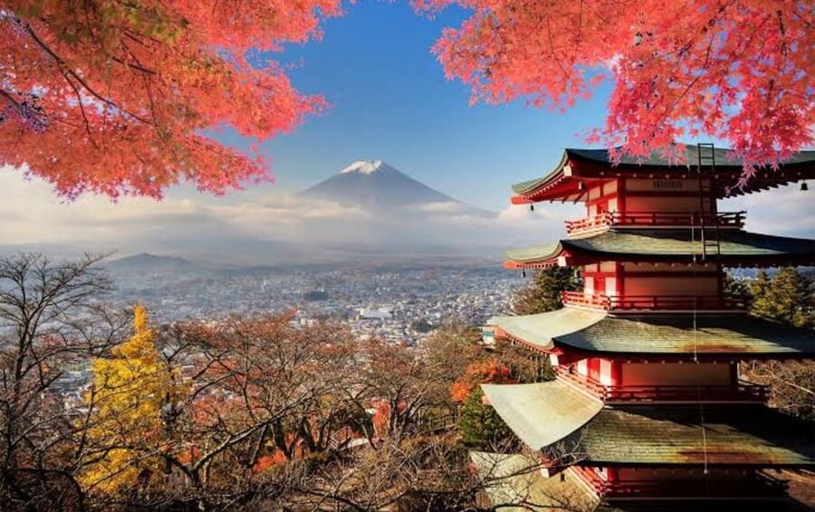 Mt Fuji Tour With Experienced English Driver - What the driver can add to the day