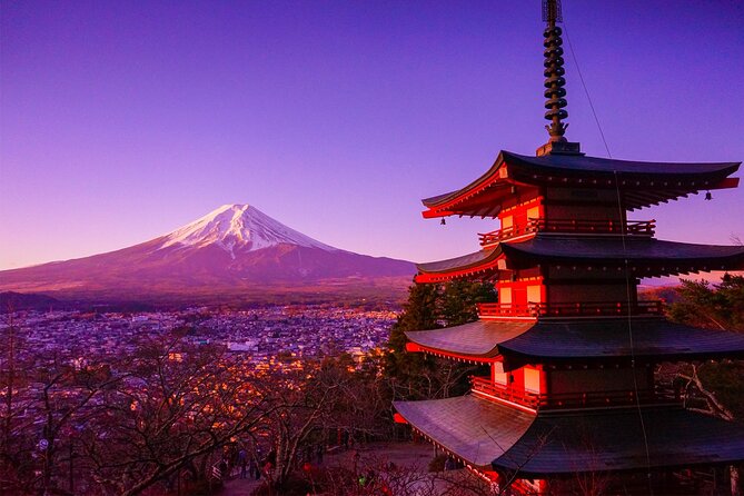 Mt Fuji Tour with Japanese Local Guide on Private Car from Tokyo - Oishi Park beside Lake Kawaguchi