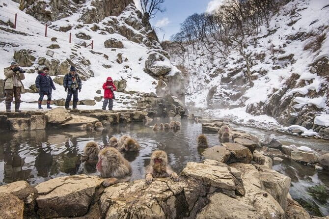 Mt. Fuji Tours to Lake Kawaguchi and Yamanaka Onsen English Guide - Guides can add real value, but the group format has limits