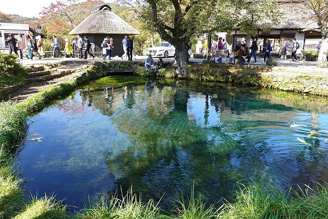 Mt. Fuji Tours with Kawaguchi Lake Ropeway View English Speaking - Oishi Park and its seasonal color