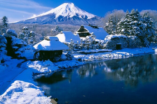 Mt. Fuji Tours with Kawaguchi Lake Ropeway View English Speaking - Weather, crowds, and the Fuji visibility gamble