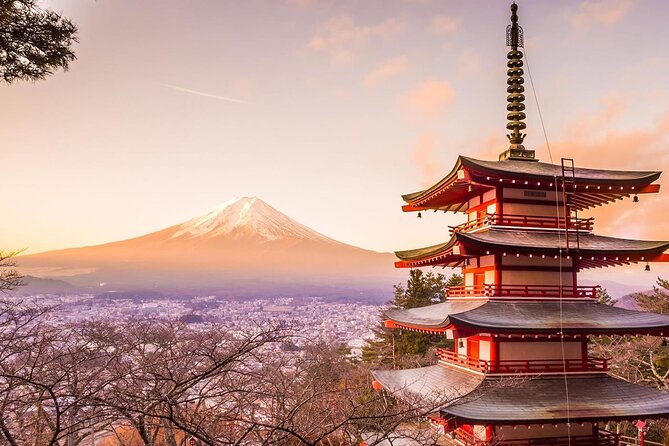 Mt. Fuji Tours with Kawaguchi Lake Ropeway View English Speaking