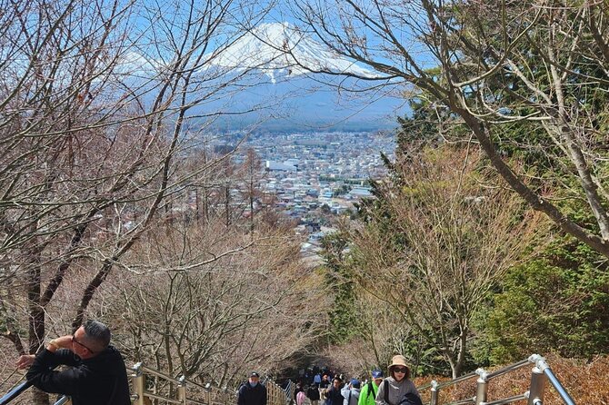 Mt.Fuji view Hakone Private tour with English speaking driver - Hakone Shrine brings in the cultural side