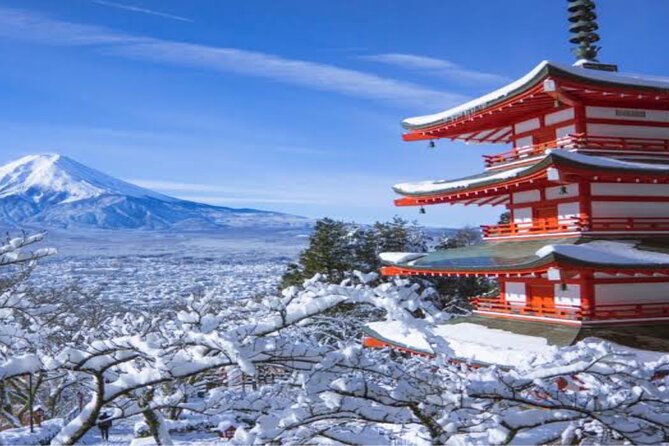 MT FUJI with Private Tour - Key points to know before booking