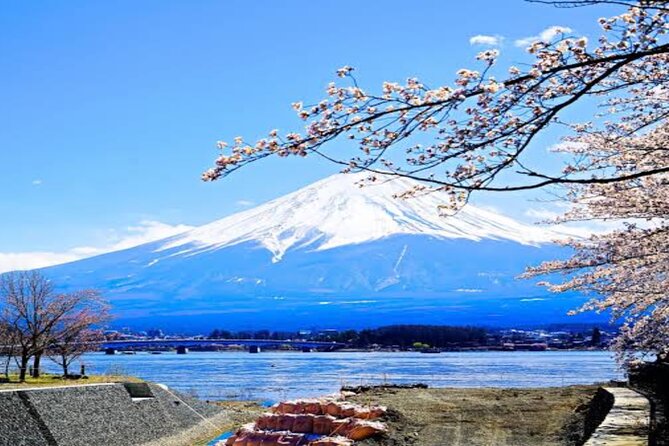 MT FUJI with Private Tour - Arakurayama Sengen Park and the famous pagoda view