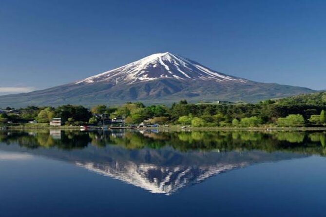 MT FUJI with Private Tour - Optional Oishi Park or Gotemba Premium Outlets