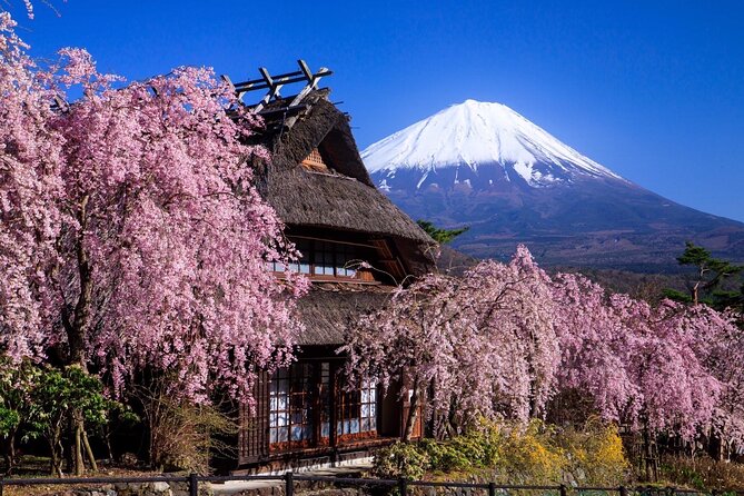 Muslim Friendly Mt. Fuji Tour with Halal Lunch and Prayer Time