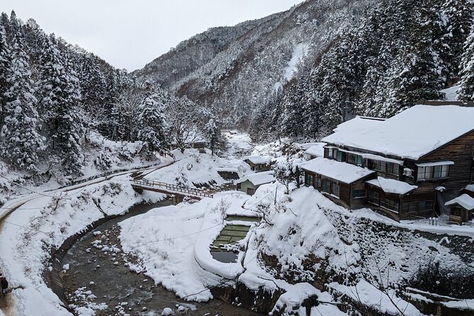 Nagano Snow Monkey 1 Day Tour with Beef Sukiyaki Lunch from Tokyo - Two hours with the macaques