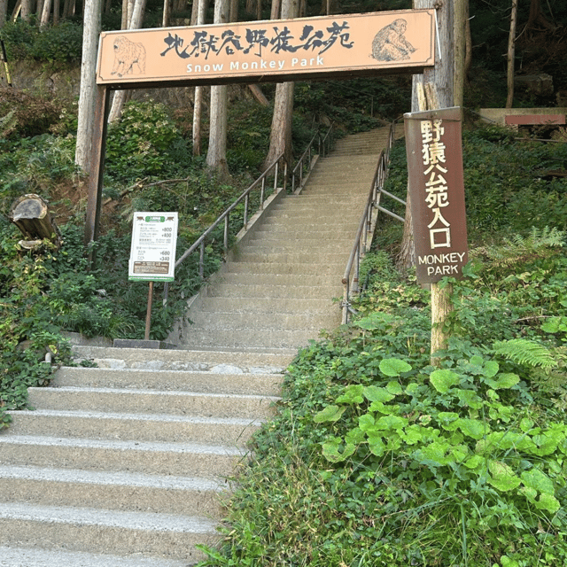 Nagano/Tokyo: Snow Monkey Private Day Tour At Lowest Rate - Key points to know before you book