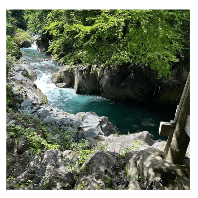 Nagano/Tokyo: Snow Monkey Private Day Tour At Lowest Rate - Matsumoto Castle is a separate long-distance choice