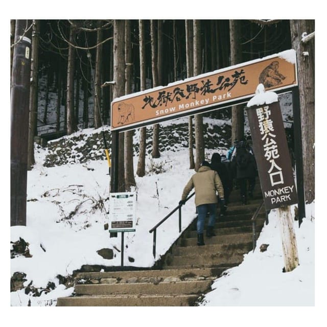 Nagano Tokyo: Snow Monkey Private Day Tour Hotel Pick & Drop - Why this private Nagano day tour works
