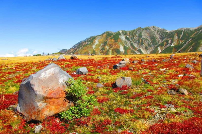 Nagano: World’s Edge Tateyama Kurobe Alpine Route Tour - Why this Alpine Route day is different
