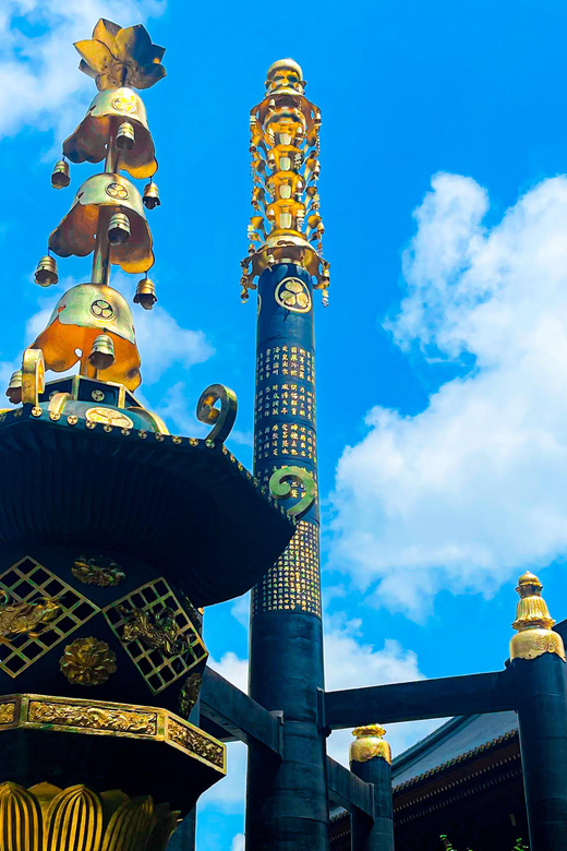 Nikko: Day Tour from Tokyo in Spanish - Spanish - Key points at a glance