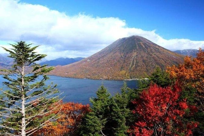 Nikko Full-Day Private Tour with Government-Licensed Guide - Tamozawa Villa and the quieter historic choices