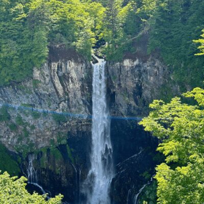 Nikko Heritage & Nature Day Trip from Tokyo - Toshogu Shrine and the cedar-lined approach