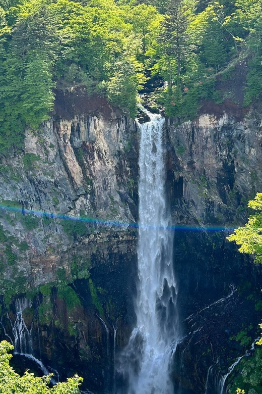 Nikko Heritage & Nature Day Trip from Tokyo - What the private vehicle changes