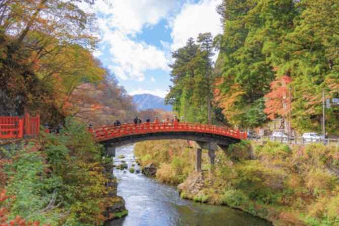 Nikko Private Custom Tour with Local Guide - What the private format changes