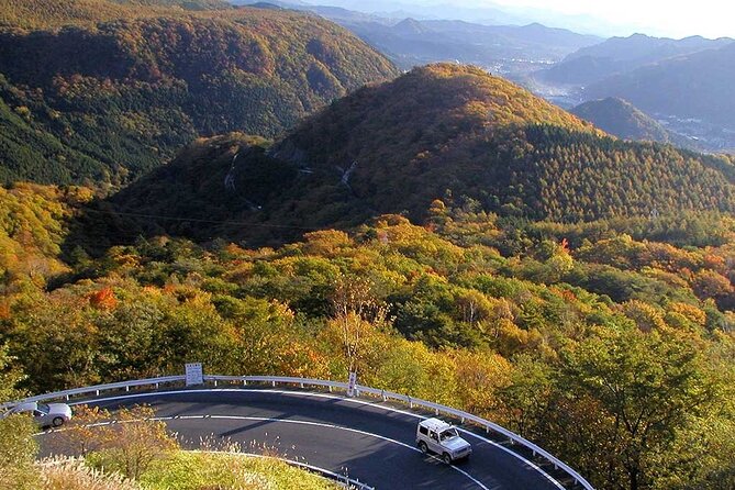 Nikko private tour with English speaking guide - The long road from Tokyo