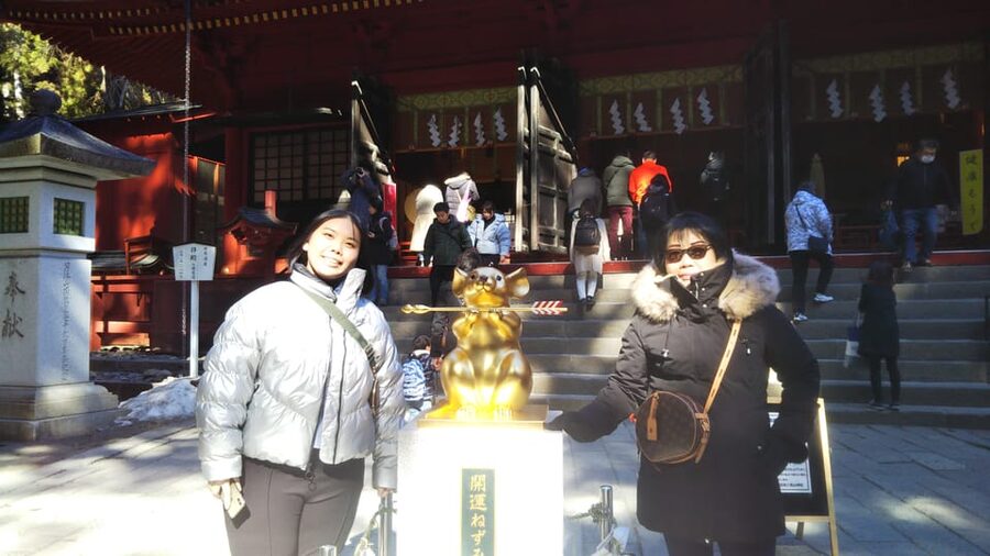 Nikko: Private Walking Tour with Local Guide - Key points to know before booking