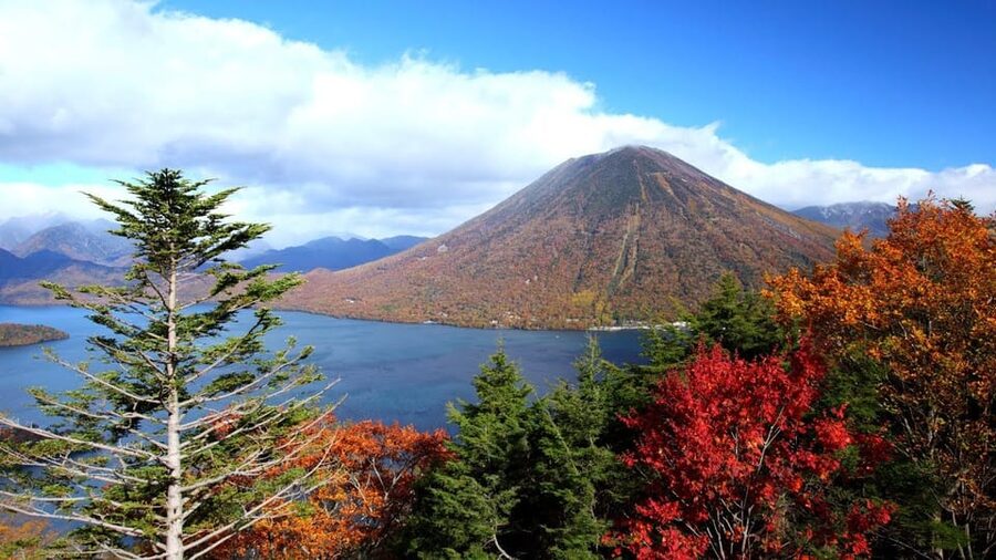 Nikko: Private Walking Tour with Local Guide - What the guides add to the day