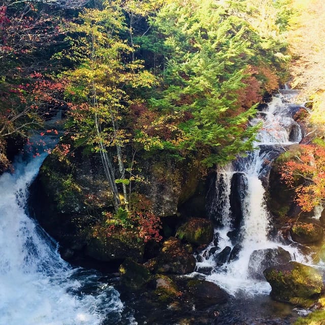 Nikko's Majestic Landscapes: Private Guided Tour - Who should book this Nikko tour?