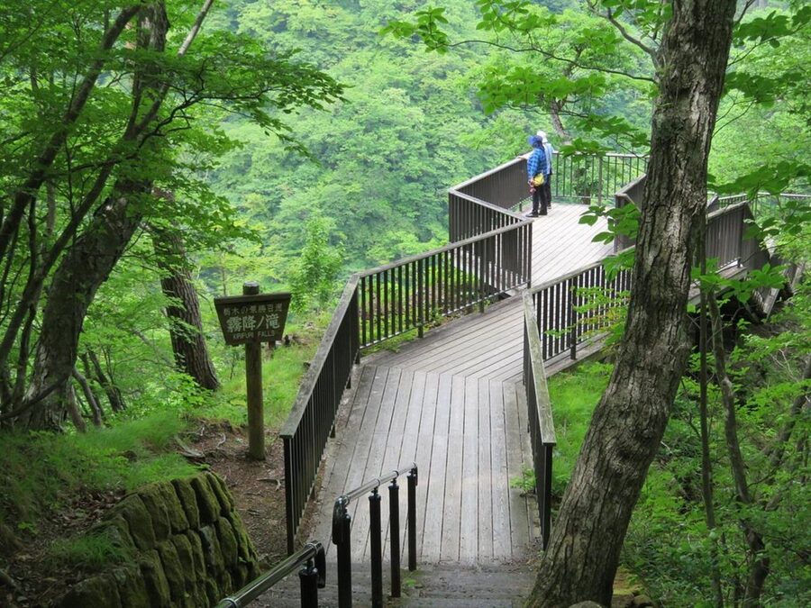 Nikko's Majestic Landscapes: Private Guided Tour - Waterfalls and Nikko National Park