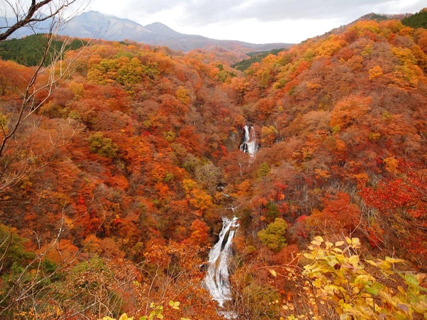 Nikko's Majestic Landscapes: Private Guided Tour - How to plan the 10-hour day