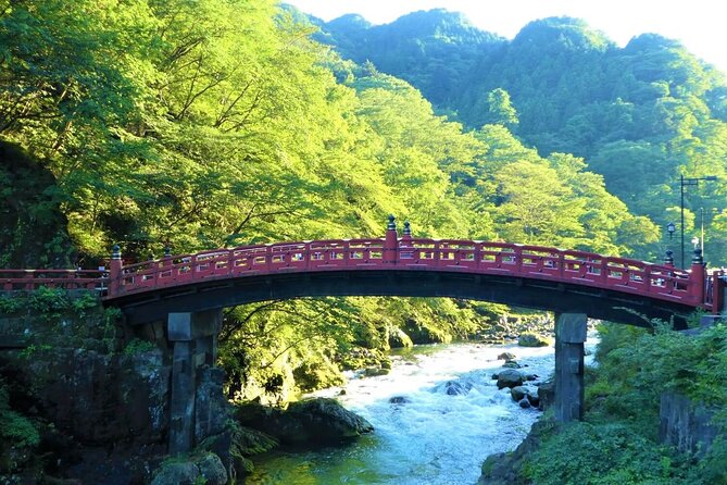 Nikko Tour by Private Car and English Speaking Driver - Kegon Falls is short, dramatic, and worth the ticket