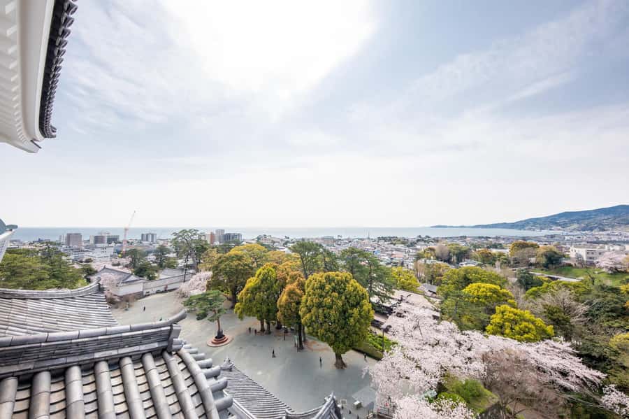 Odawara: Guided Ninja & Samurai Tour of Odawara Castle - Is $116 good value?