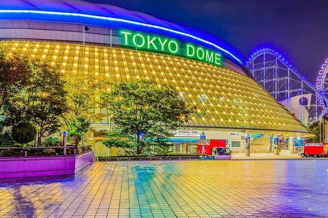 Official Japan Go-Kart Through Shibuya / Shinjuku (IDP Required) - Yoyogi Park and Meiji Jingu’s neighborhood
