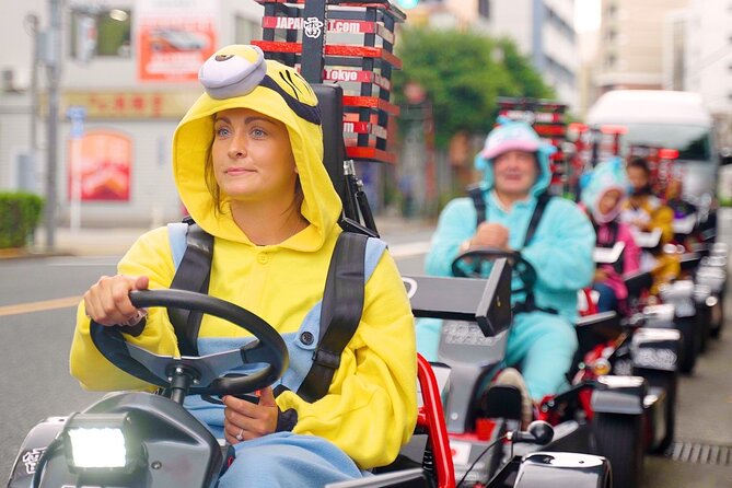 Official Japan Go-Kart Through Tokyo Bay / Ginza (IDP Required) - Toyosu and the Tokyo Bay opening