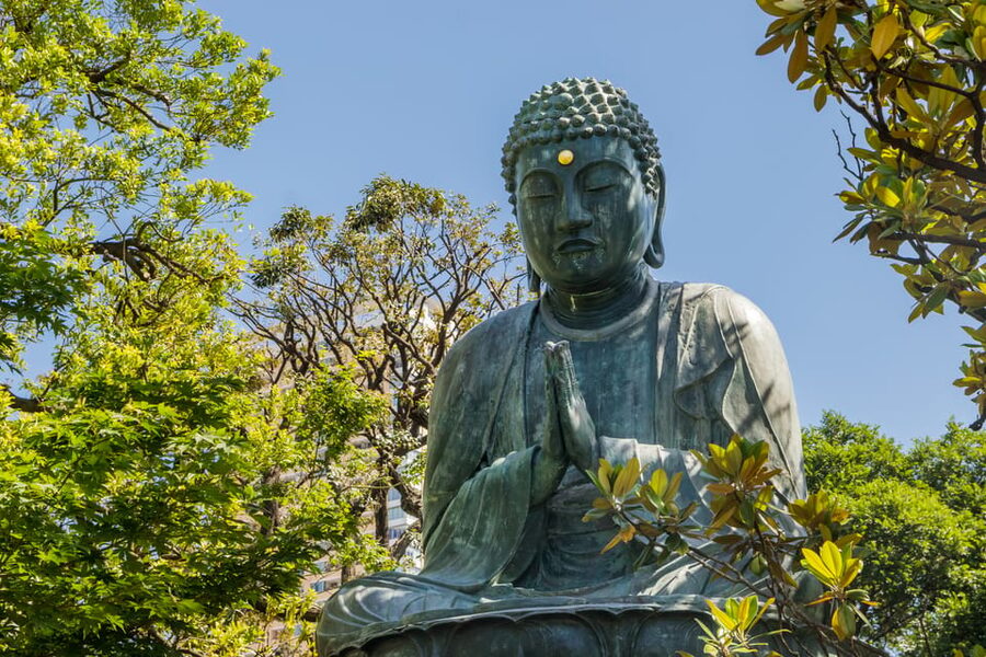 Old and Nostalgic Tokyo: Half-Day Yanaka Walking Tour - Yanaka-Ginza and old-style shopping