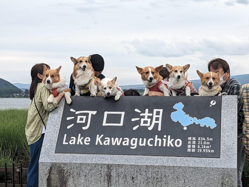 One Day 10hrs Mount Fuji Tour English Speaking Driver