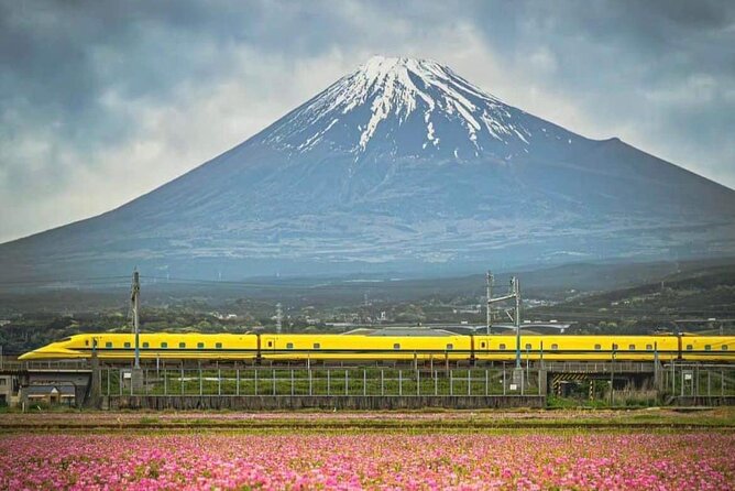 One day mountain Fuji & Hakone tour with English hindi bilingual - Oshino Hakkai, eight spring ponds and local snacks