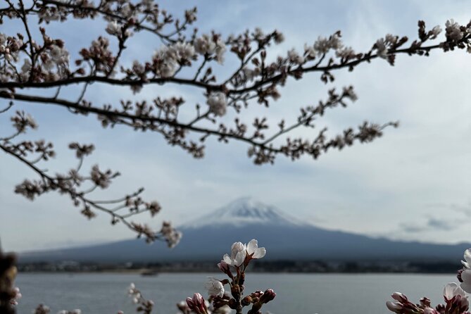 One day mountain Fuji & Hakone tour with English hindi bilingual - Lake Kawaguchiko, boat views and the Kachi Kachi ropeway