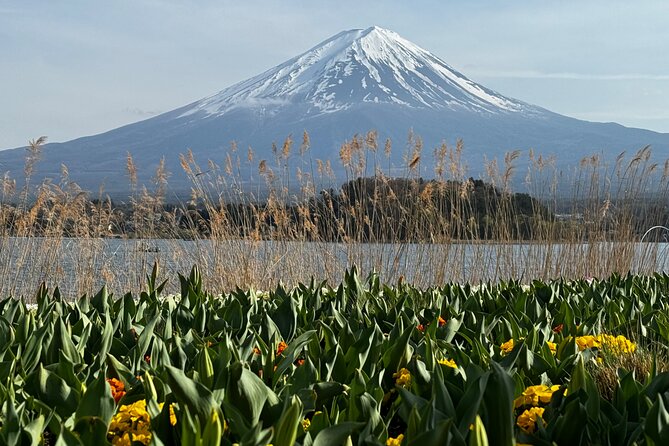 One day mountain Fuji & Hakone tour with English hindi bilingual - Mt. Fuji 5th Station at 2,300 meters