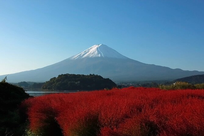 One Day Tour to Oishi Park and Fruit Picking in Mt. Fuji Tokyo - Key points to know before booking