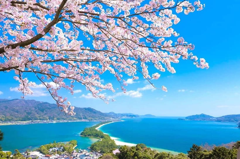 Osaka: Kyoto By The Sea with Amanohashidate & Ine no Funaya - The optional boat ride in Ine