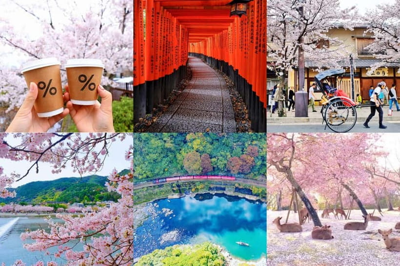 Osaka/Kyoto/Nara: Private Full-Day Sightseeing Tour - Key points to know before booking