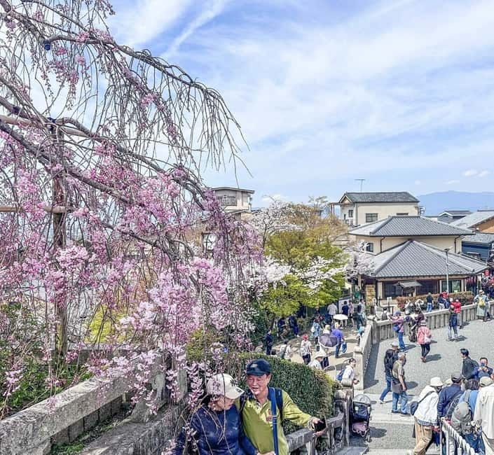 Osaka/Kyoto/Nara: Private Full-Day Sightseeing Tour - A flexible way to see Kyoto in one long day